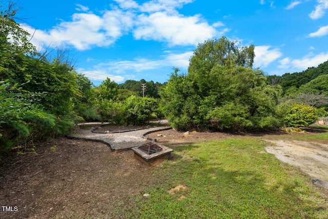4811 New Sharon Church Rd, Hillsborough, NC 27278 - view of green lawn