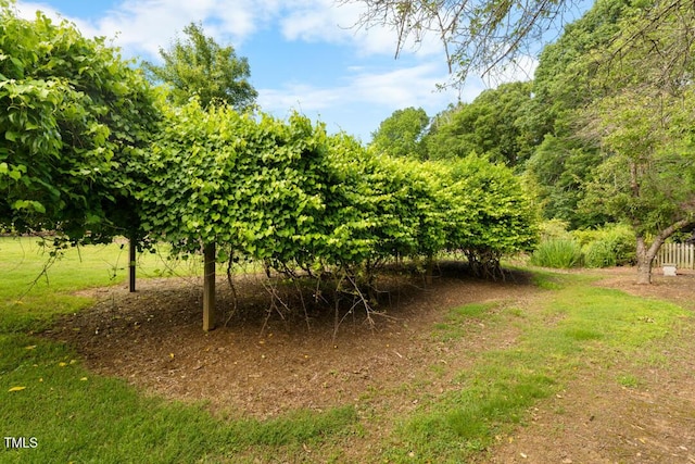 4811 New Sharon Church Rd, Hillsborough, NC 27278 - view of local wilderness