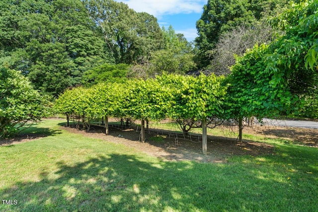 4811 New Sharon Church Rd, Hillsborough, NC 27278 - view of grassy yard
