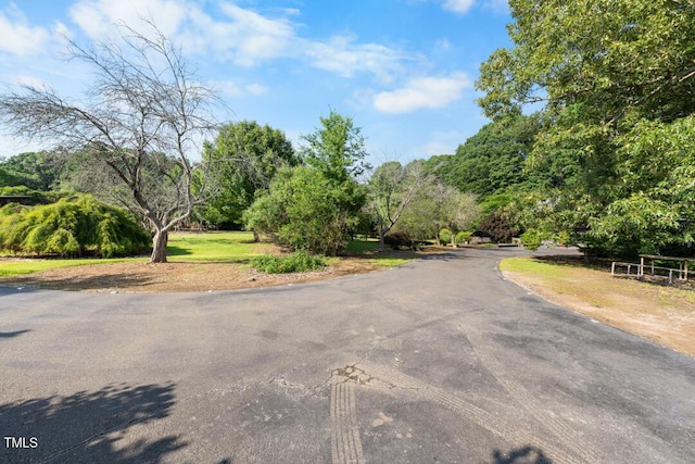 4811 New Sharon Church Rd, Hillsborough, NC 27278 - view of street with view of wooded area