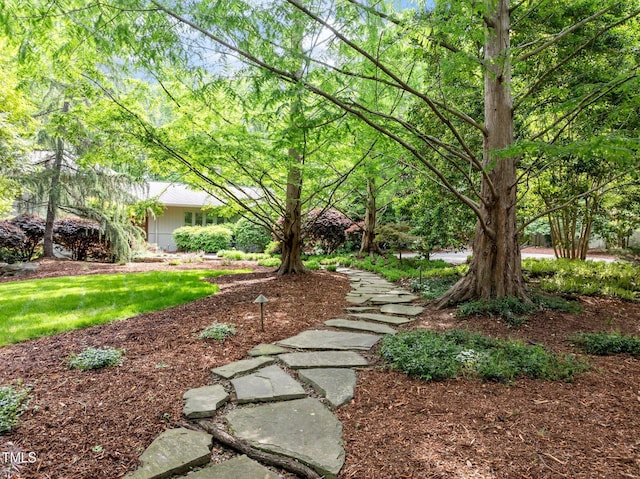 3915 Nottaway Rd, Durham, NC 27707 - view of yard