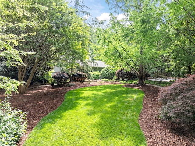 3915 Nottaway Rd, Durham, NC 27707 - view of green lawn