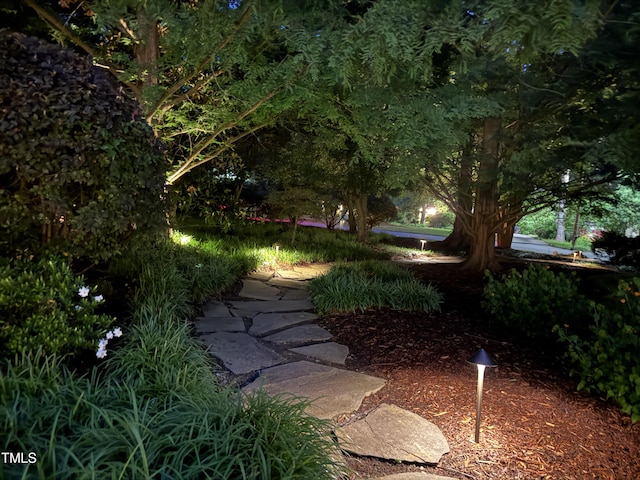 3915 Nottaway Rd, Durham, NC 27707 - view of yard