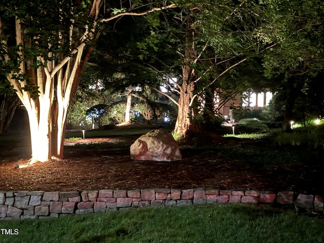 3915 Nottaway Rd, Durham, NC 27707 - view of yard