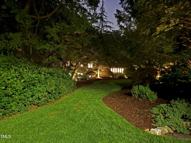 3915 Nottaway Rd, Durham, NC 27707 - view of grassy yard