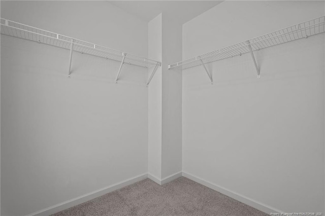 91 Walker Grove Ln, Lillington, NC 27546 - photo 28