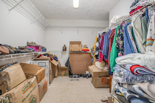 8404 Frenchorn Ln, Fayetteville, NC 28314 - walk in closet with carpet flooring