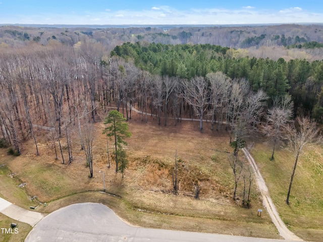 33 Waterstone Ln, Henderson, NC 27537 - photo 2