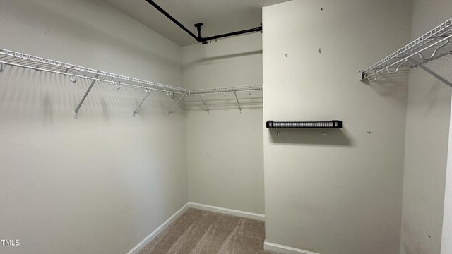 49 W Copenhaver Dr, Clayton, NC 27527 - walk in closet with carpet floors