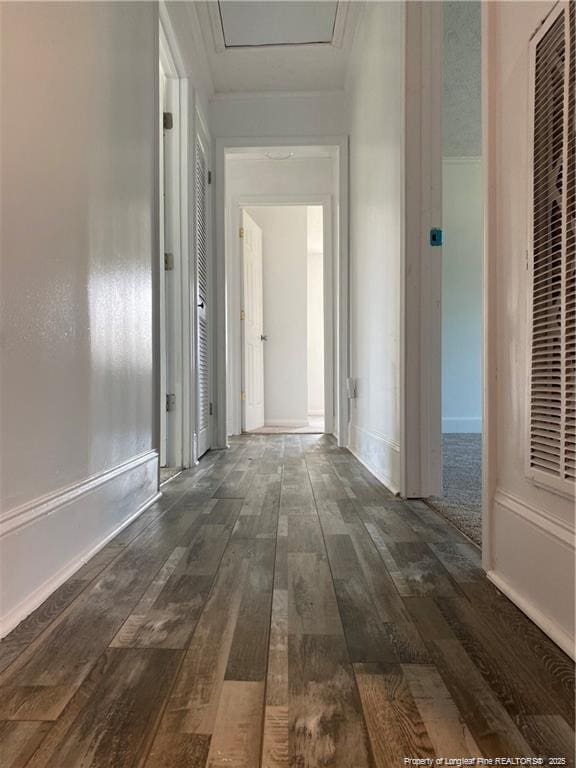corridor featuring wood-type flooring