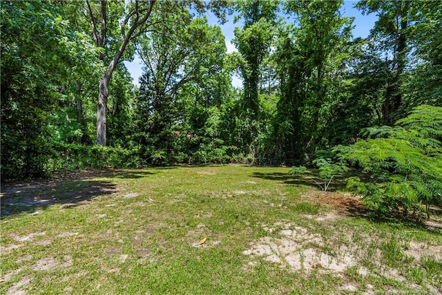 3518 Drayton Rd, Fayetteville, NC 28303 - view of yard
