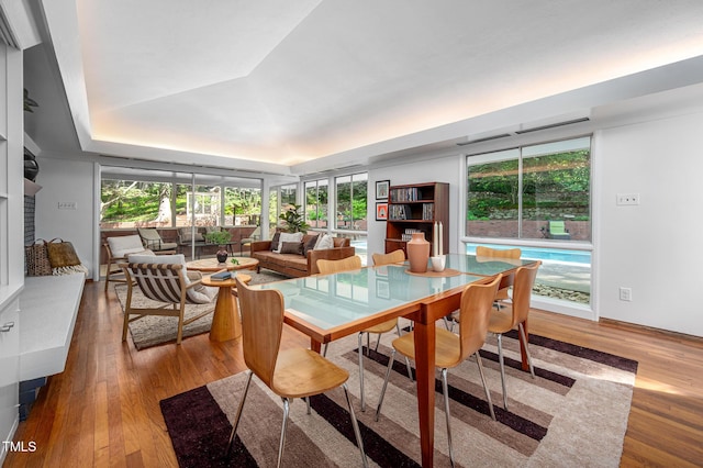 dining area with a tray ceiling, wood finished floors, and a healthy amount of sunlight