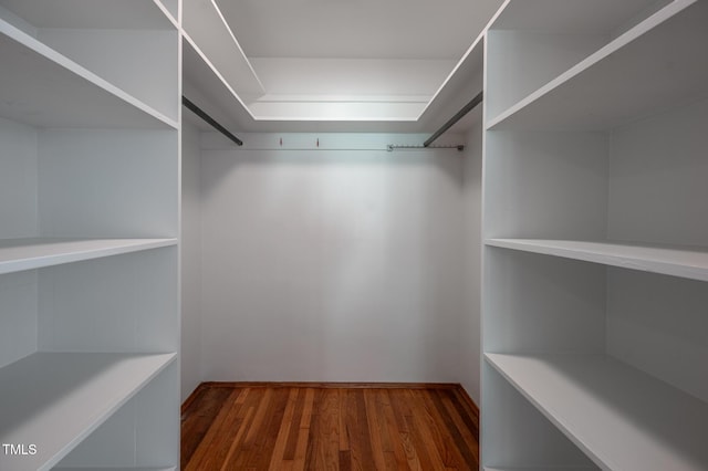 spacious closet featuring wood finished floors