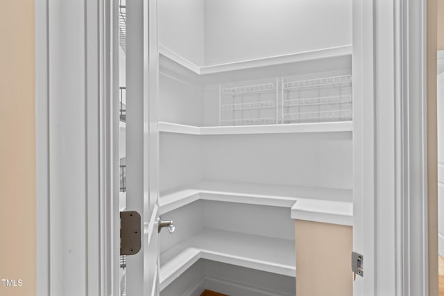 5233 Greymoss Ln, Apex, NC 27539 - view of pantry