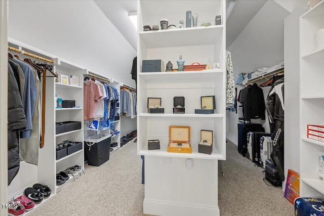 1508 Tradescant Ct, Raleigh, NC 27613 - walk in closet featuring carpet