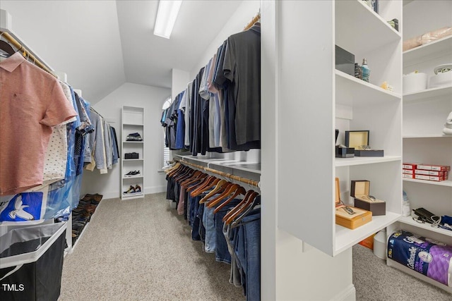 1508 Tradescant Ct, Raleigh, NC 27613 - spacious closet with carpet and lofted ceiling