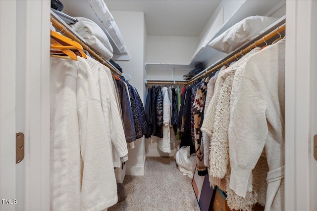 1508 Tradescant Ct, Raleigh, NC 27613 - walk in closet featuring carpet