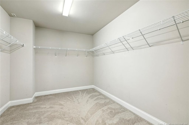 spacious closet featuring light carpet