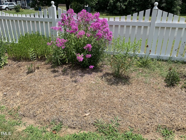 115 Omega Rd, Durham, NC 27712 - view of yard