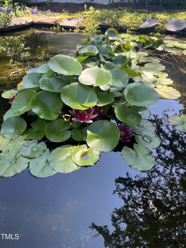 115 Omega Rd, Durham, NC 27712 - exterior view of a garden pond
