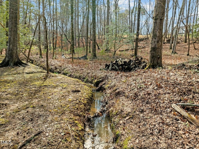 76 Gentry Dr, Pittsboro, NC 27312 - view of local wilderness with a view of trees