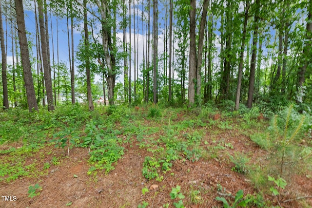 view of undeveloped land