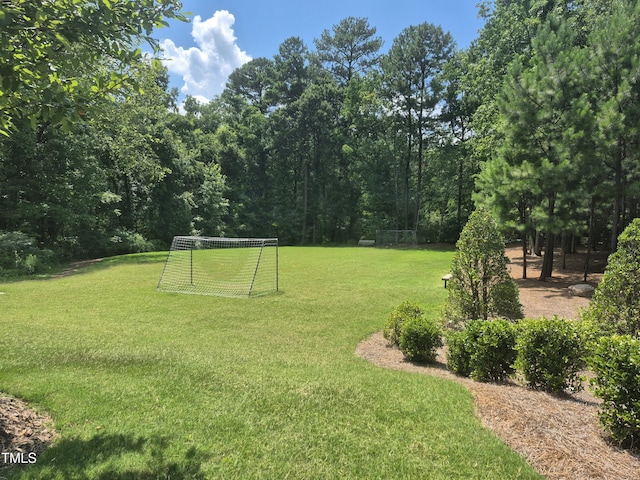 4000 Passenger Pl, Durham, NC 27703 - photo 32