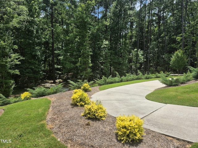4000 Passenger Pl, Durham, NC 27703 - photo 33