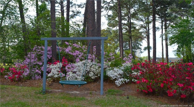 view of playground