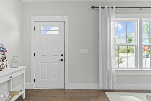 2801 Landon Ridge Dr, New Hill, NC 27562 - entryway with a wealth of natural light, baseboards, and wood finished floors
