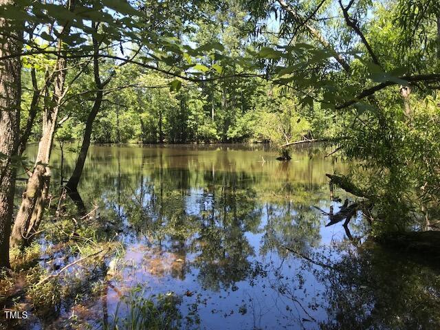 LOT3 Truelove Rd, Holly Springs, NC 27540 - photo 3