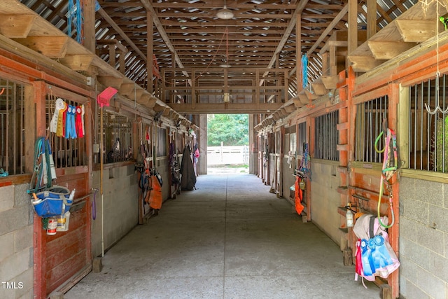 11808 Black Horse Run, Raleigh, NC 27613 - photo 31