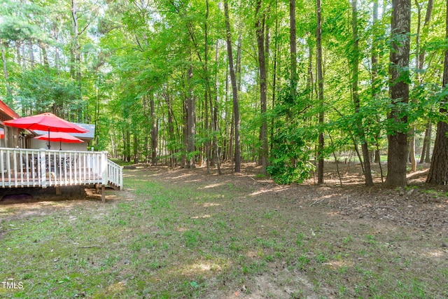 11808 Black Horse Run, Raleigh, NC 27613 - photo 22