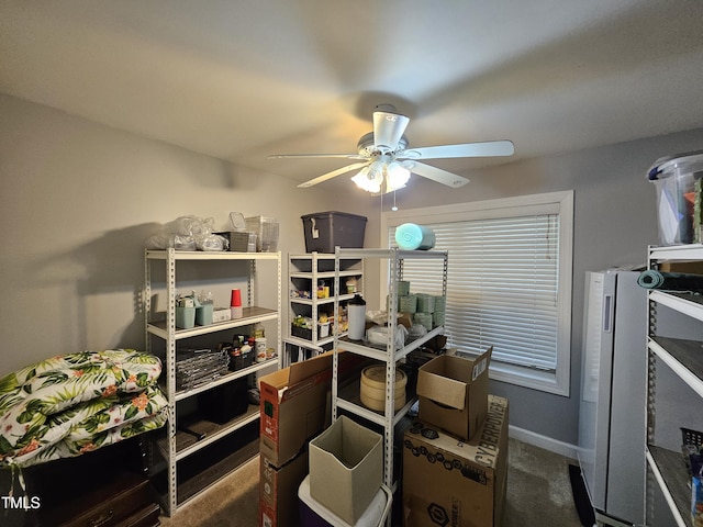 4116 Tall Pine Dr, Franklinton, NC 27525 - storage area featuring ceiling fan