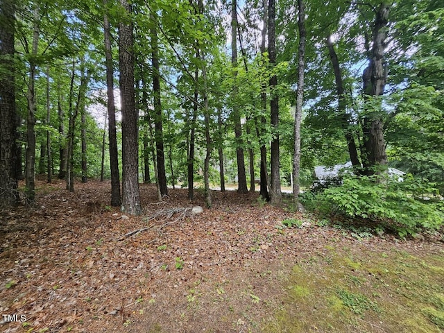 4116 Tall Pine Dr, Franklinton, NC 27525 - view of nature