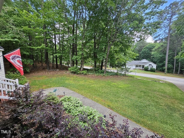 4116 Tall Pine Dr, Franklinton, NC 27525 - view of green lawn