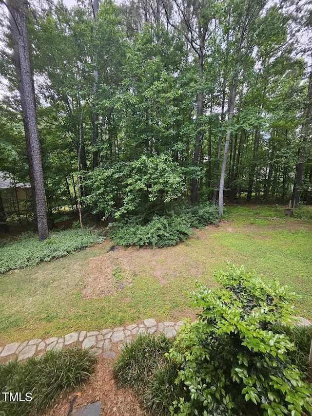 4116 Tall Pine Dr, Franklinton, NC 27525 - view of yard