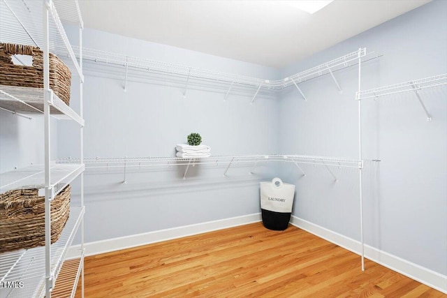 spacious closet featuring light wood-type flooring