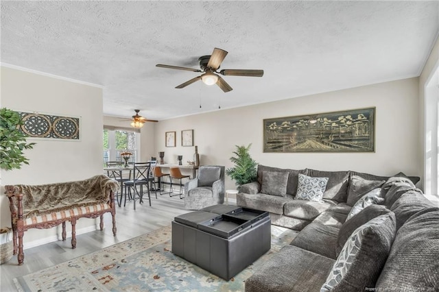 1002 Hicks Ave, Fayetteville, NC 28304 - living area with a textured ceiling, ceiling fan, wood finished floors, and crown molding