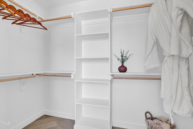 view of walk in closet