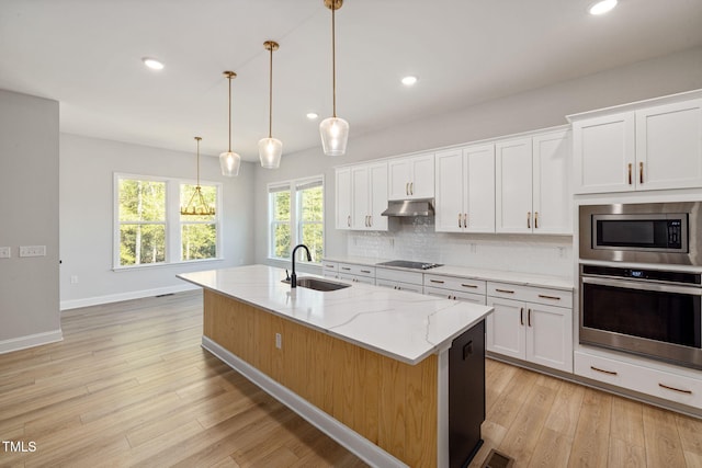 50 Gadwall Ct, Zebulon, NC 27597 - kitchen with light wood-type flooring, a sink, baseboards, under cabinet range hood, and stainless steel appliances