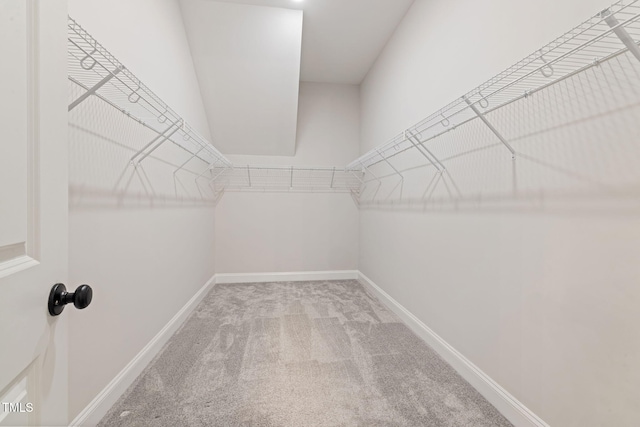 50 Gadwall Ct, Zebulon, NC 27597 - spacious closet with carpet floors