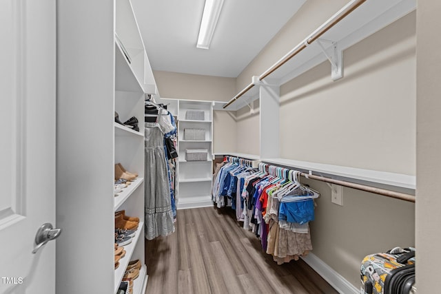 walk in closet with wood finished floors