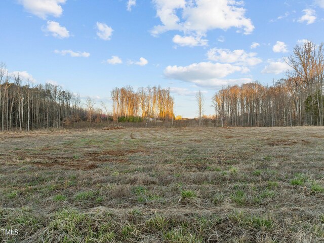 172 Deerwood Trl, Siler City, NC 27344 - photo 2