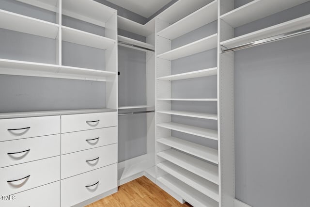 5900 Orchid Valley Rd, Raleigh, NC 27613 - walk in closet featuring light wood-style floors