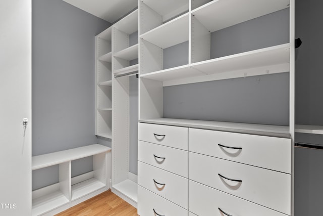 5900 Orchid Valley Rd, Raleigh, NC 27613 - walk in closet featuring light wood-style floors