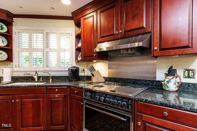 3005 Woodgreen Dr, Raleigh, NC 27607 - kitchen with open shelves, electric range, under cabinet range hood, dark brown cabinets, and crown molding