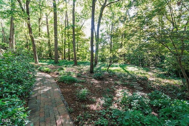3005 Woodgreen Dr, Raleigh, NC 27607 - view of woods