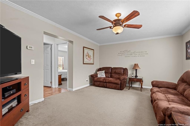 4194 Abattoir Rd, Angier, NC 27501 - photo 21