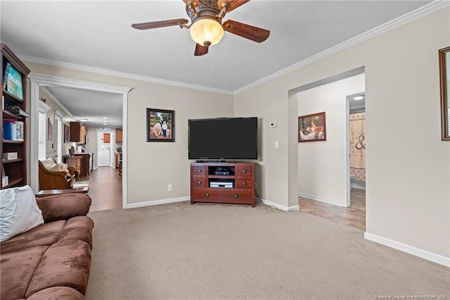 4194 Abattoir Rd, Angier, NC 27501 - photo 22